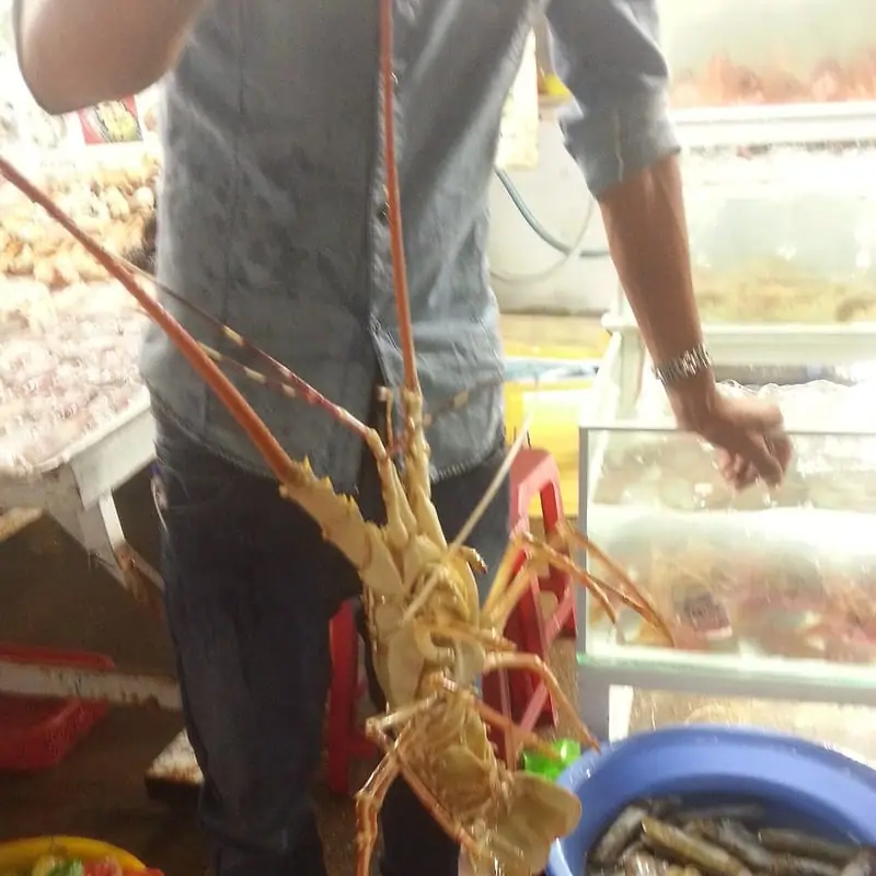 Tôm hùm bông Sông Cầu